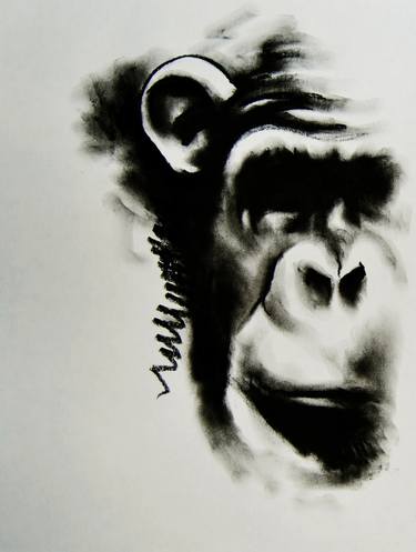 Original Animal Drawings by Simone Berrini