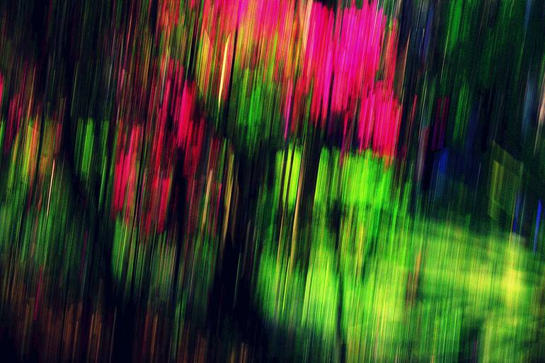 Original Impressionism Abstract Photography by Elza Cohen 