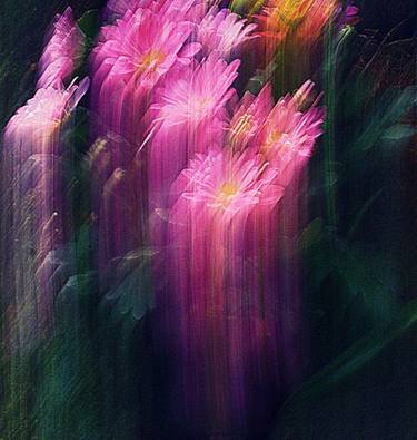 Print of Fine Art Nature Photography by Elza Cohen
