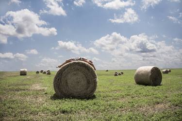 Roll In The Hay Print On Metal - Limited Edition 3 of 50 thumb