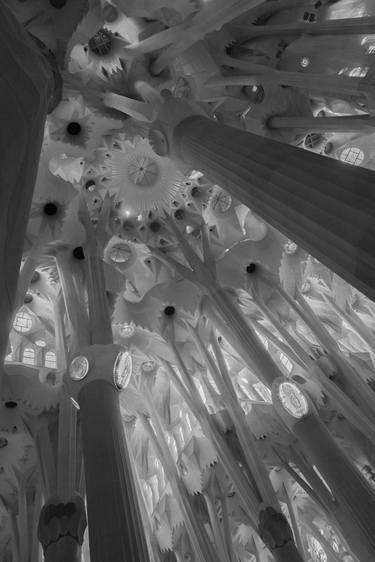 Internal Structures (Sagrada Familia) thumb