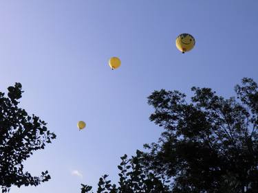 Hot Air Balloons Through The Trees thumb