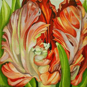 Collection Spring Fever