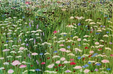 Print of Impressionism Nature Paintings by Phill Simpson