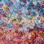 CoraLuminosity by Johnathan Roberts