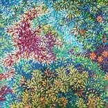 Undersea Garden III by Johnathan Roberts