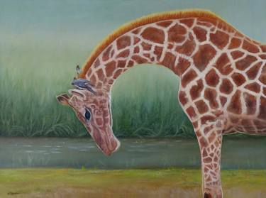 Original Realism Animal Paintings by Paula Wiegmink