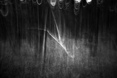 Original Fine Art Nature Photography by Dorit Fuhg