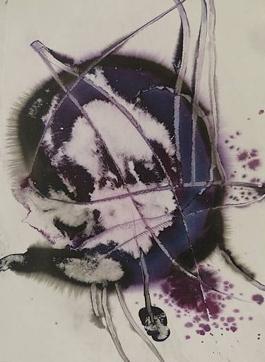 Original Abstract Botanic Drawings by Frederic Belaubre