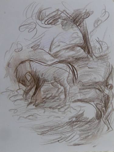 Original Figurative Horse Drawings by Frederic Belaubre