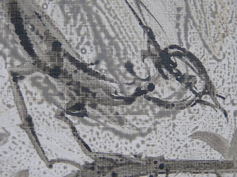 Original Figurative Animal Drawing by Frederic Belaubre