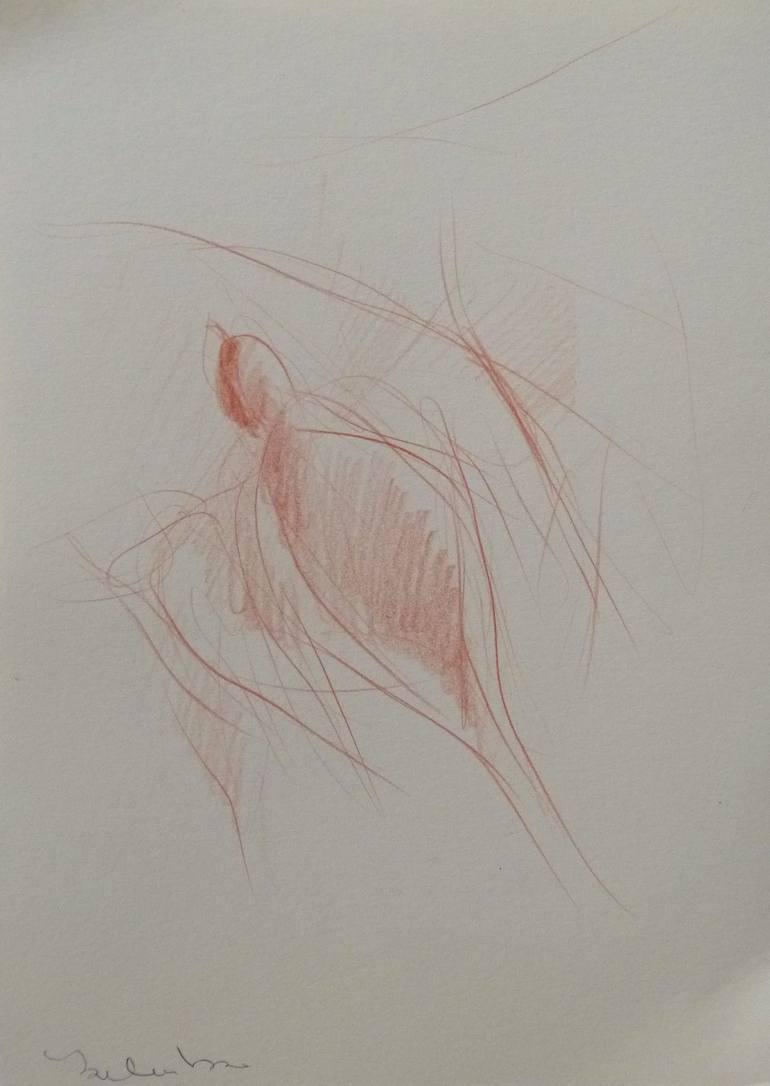 Print of Figurative Animal Drawings by Frederic Belaubre