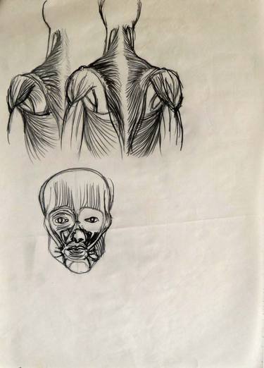 Original Figurative Body Drawings by Frederic Belaubre