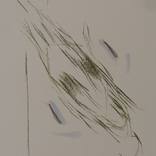 Obliquity 4 by Frederic Belaubre