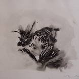 The birds flying in the tree by Frederic Belaubre