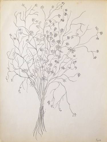 Print of Figurative Floral Drawings by Frederic Belaubre