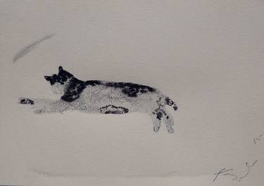 Print of Figurative Cats Drawings by Frederic Belaubre