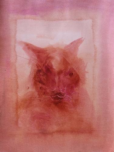 Original Abstract Cats Drawings by Frederic Belaubre