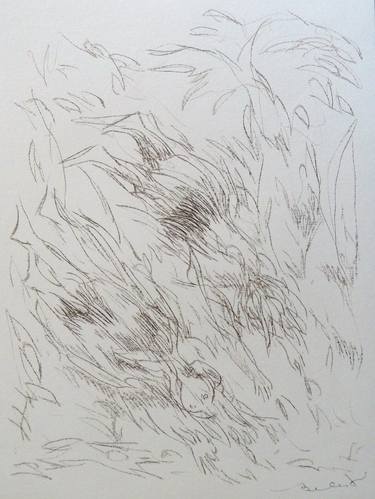 Original Abstract Garden Drawings by Frederic Belaubre