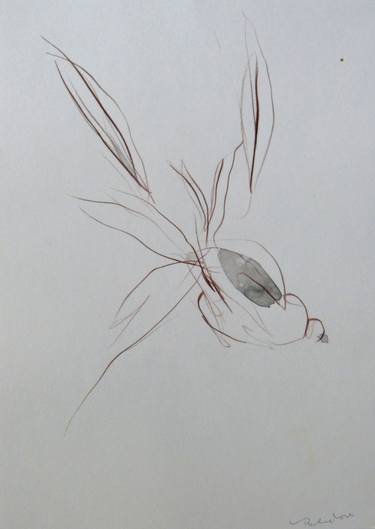 Original Figurative Animal Drawings by Frederic Belaubre