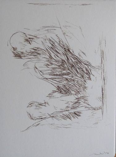 Original Nature Drawings by Frederic Belaubre