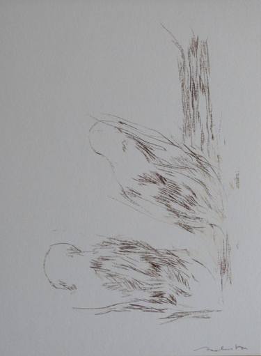 Original Figurative Nature Drawings by Frederic Belaubre