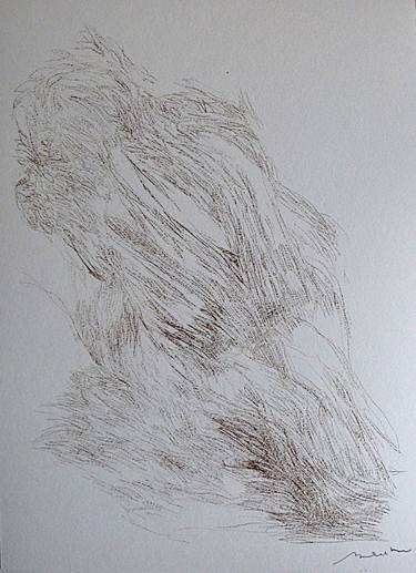 Original Figurative Floral Drawings by Frederic Belaubre