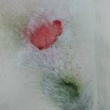 Collection Gilded Age