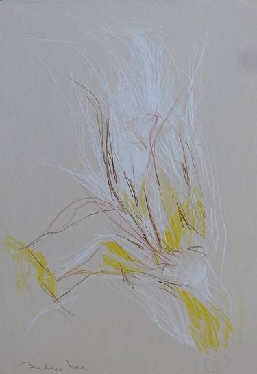 Original Abstract Nature Drawings by Frederic Belaubre