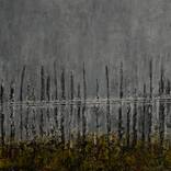 Collection The Cultural Landscape