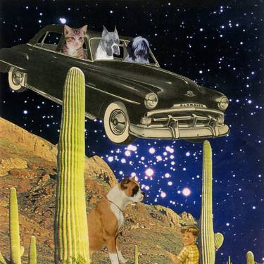 Print of Conceptual Dogs Collage by Laurie Raskin