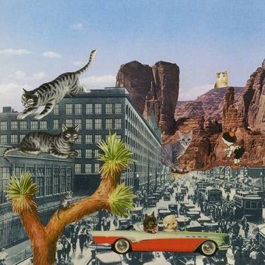 Print of Conceptual Cats Collage by Laurie Raskin