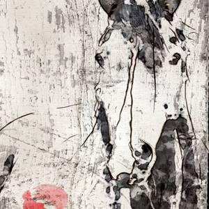 Collection Expressionism / Neo-Expressionism