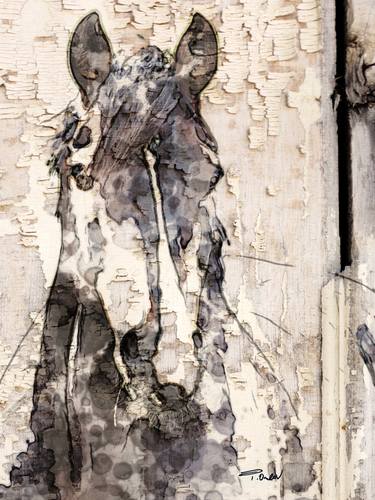 Print of Expressionism Horse Mixed Media by Irena Orlov