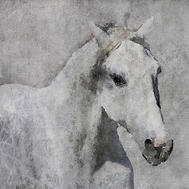 Print of Figurative Horse Paintings by Irena Orlov