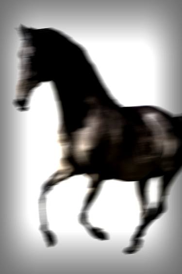 Blur Horse - Limited Edition 1 of 25 thumb
