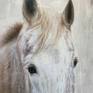 White Beauty Rustic Horse Painting