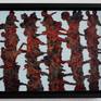 Boxframe. Dimensions: 21,5 x 27 x 3,5 cms.