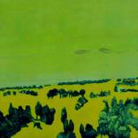 Collection Landscape