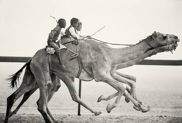 Camel Race, 1987 thumb