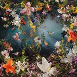 ENCHANTMENT / Limited Edition of 5 by Ysabel LeMay