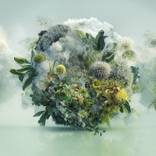 Breath of September by Ysabel LeMay