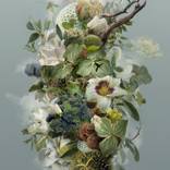 As Leaves Wander by Ysabel LeMay