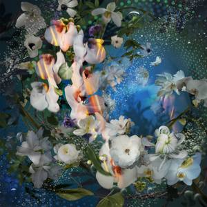 BOTANICA , Lumen