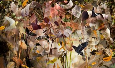 Original Surrealism Nature Photography by Ysabel LeMay