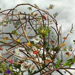 Collection Fair Director Highlights