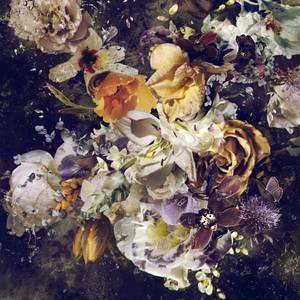 Collection Holiday Catalog: Best of 2021