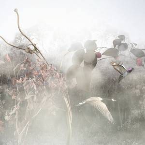 Collection SOMA E Cab