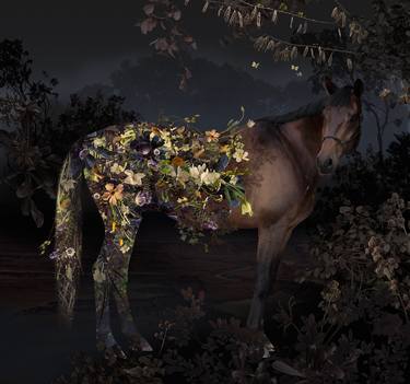 Original Surrealism Animal Photography by Ysabel LeMay