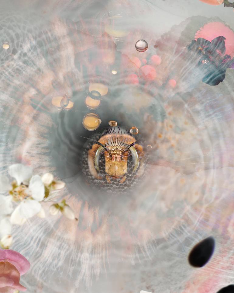 Original Other Nature Photography by Ysabel Lemay